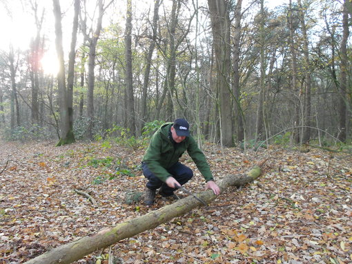 Doorzagen 15cm dikke boom