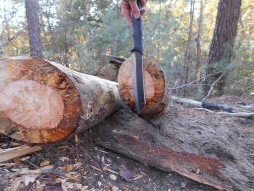 25cm dikke boom door gehakt