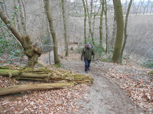 in het bos