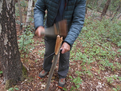 Hout splijten