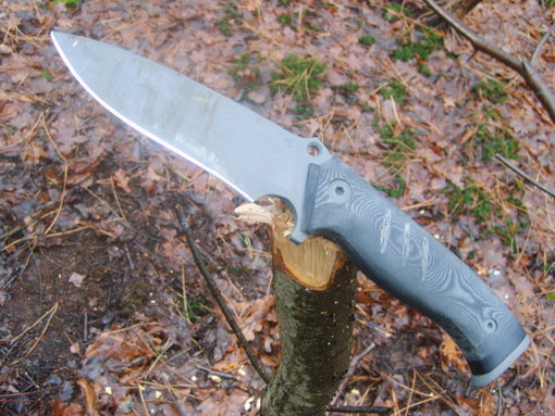 Bull Shark Knife