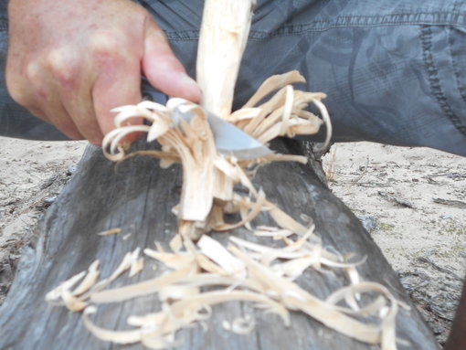 Bijtend door het hout