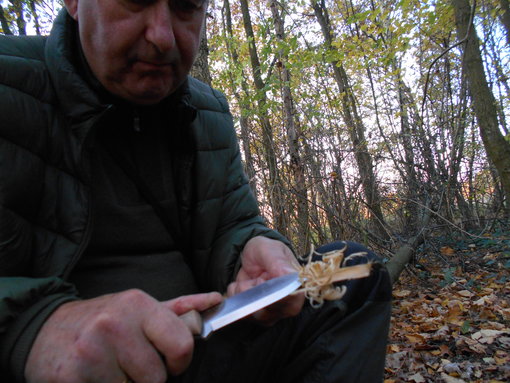 Feather stick