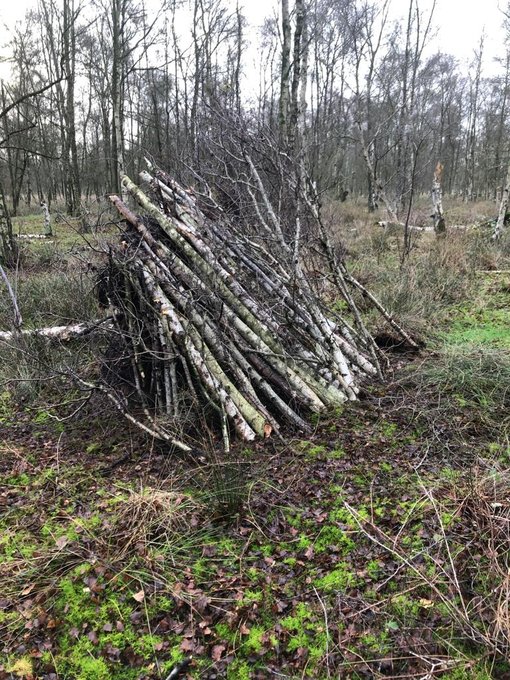 Gebouwde onderkomen