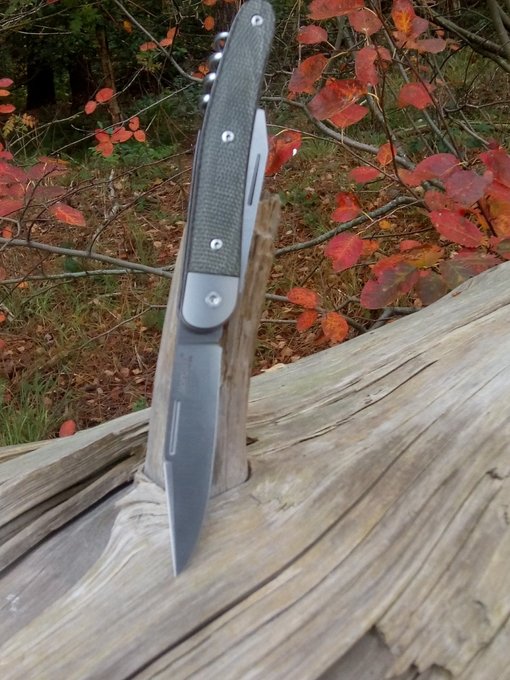 LionSteel Jack 3