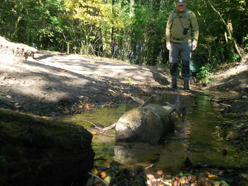 Pootje baden