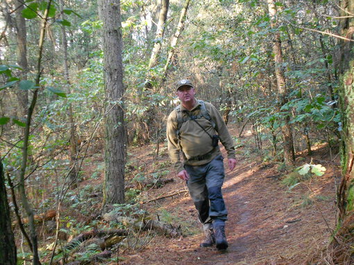 In de bossen