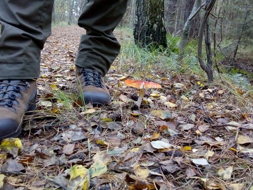 gecamoufleerd in het bos