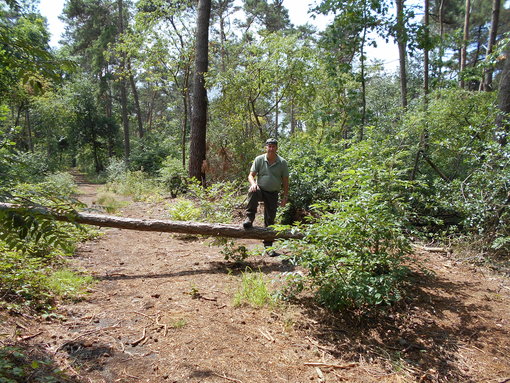 In het bos