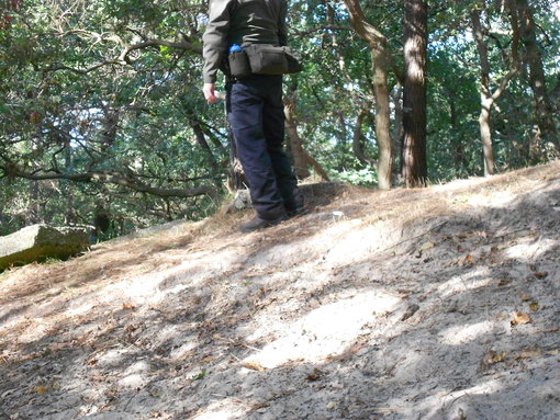 In het bos