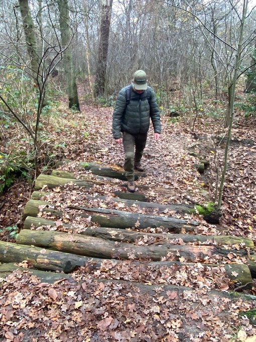 In het bos