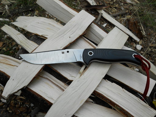 Spyderco Bradley Bowie