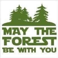 May the forest be with you