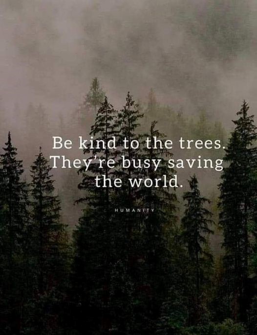 Saving Trees