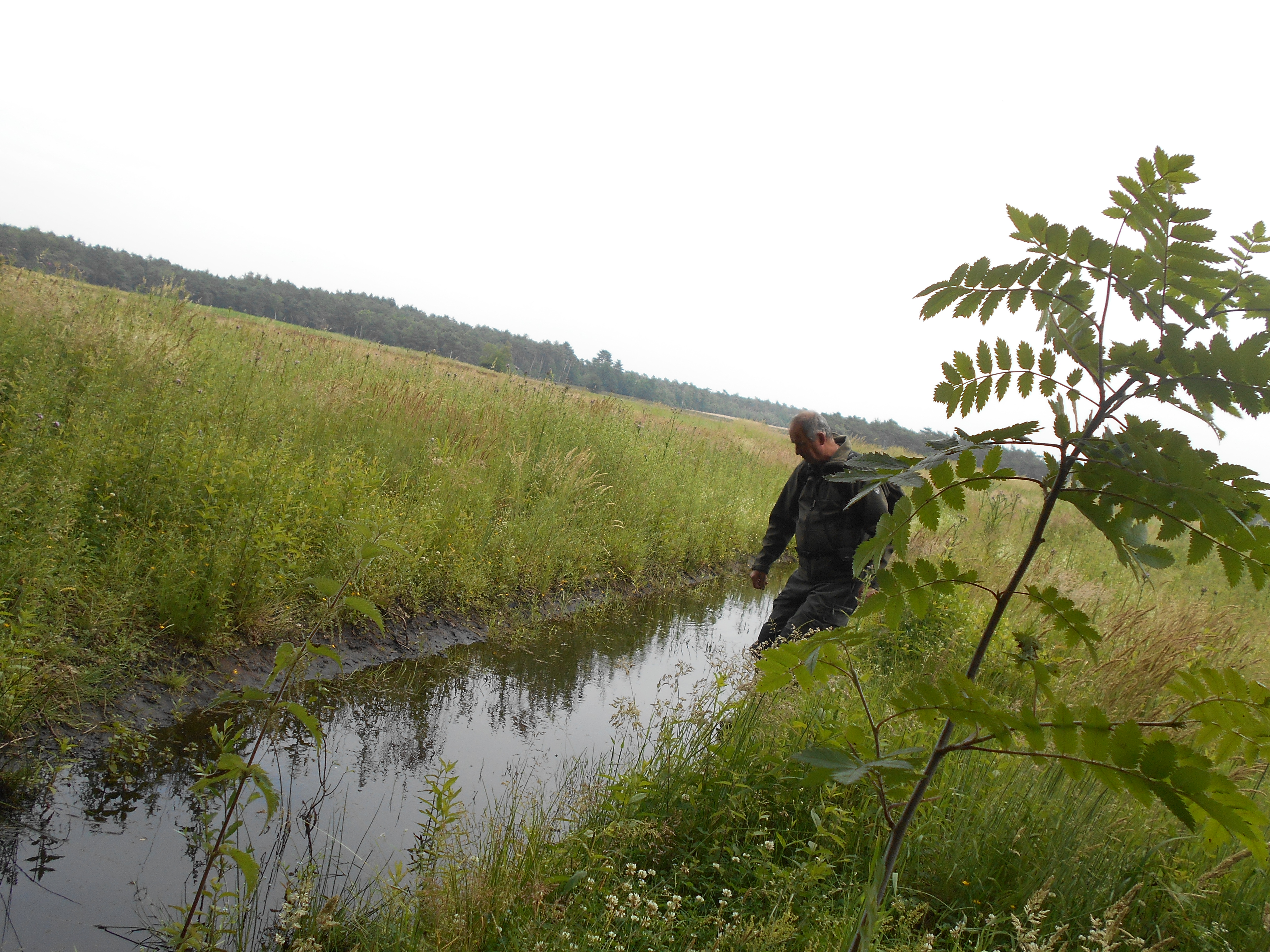 Door het water